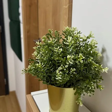 Appartamento Prestige - Next To Ice Arena, Private Parking *