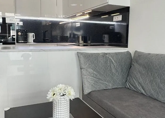 Prestige - Next To Ice Arena, Private Parking Apartament